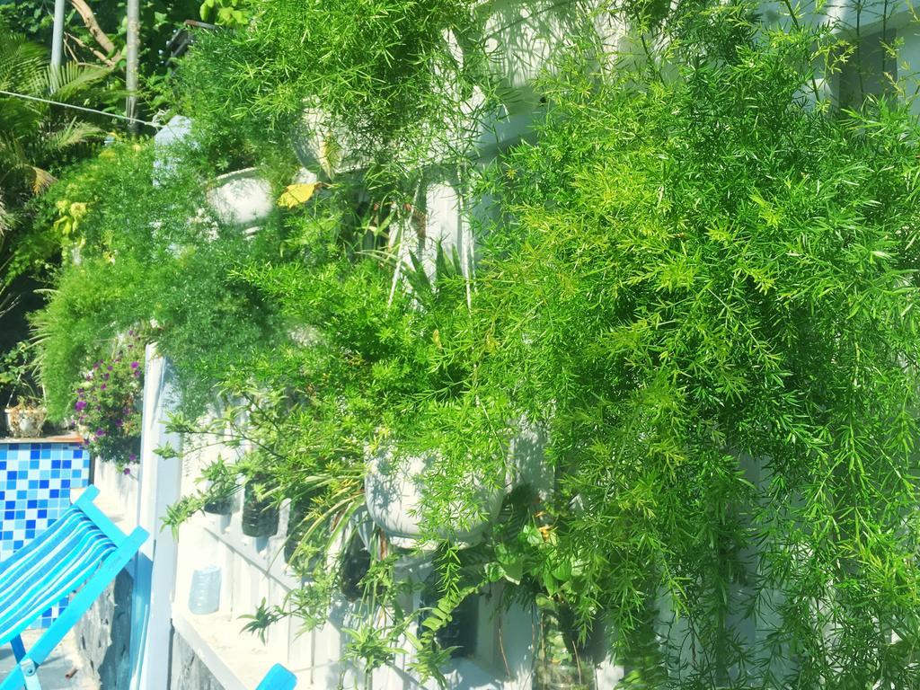 Fusion Villa ホイアン エクステリア 写真